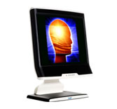 Psychology software